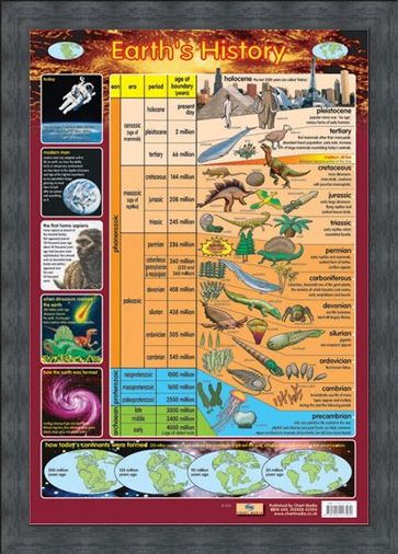 Framed Framed Earth's History - From Precambrian to Holocene